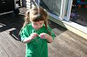 Picture 3251